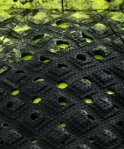 Creatures Of Leisure