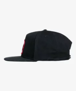 Quiksilver X Stranger Things Upside Down Snapback Hat