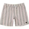 RVCA Mens RVCA "Barnes" Men's Elastic Boardshorts 17" | Striped