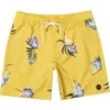 RVCA Mens RVCA "Perry" Men's Elastic Shorts