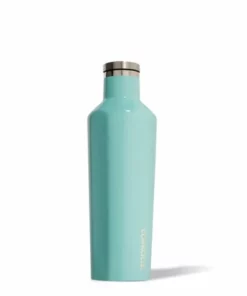 Corkcicle "Gloss" 16oz Classic Canteens | 2 Colors Drinkware