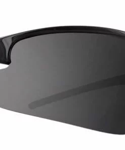 Bizol 2 Bifocal Reading Sunglasses